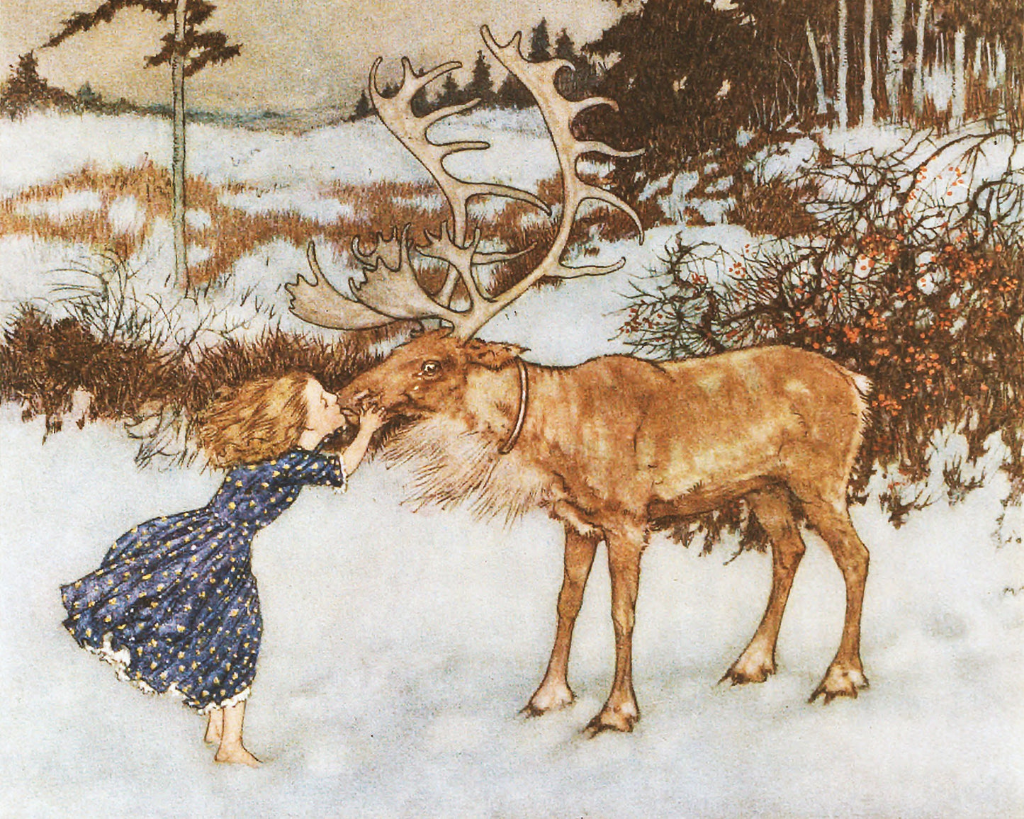 Gerda and the Reindeer | 1911 | Sweet girl kissing a reindeer | Christmas woodland | Edmund Dulac book illustration | Fantasy wall art