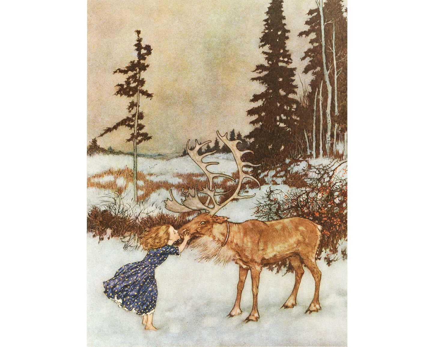Gerda and the Reindeer | 1911 | Sweet girl kissing a reindeer | Christmas woodland | Edmund Dulac book illustration | Fantasy wall art