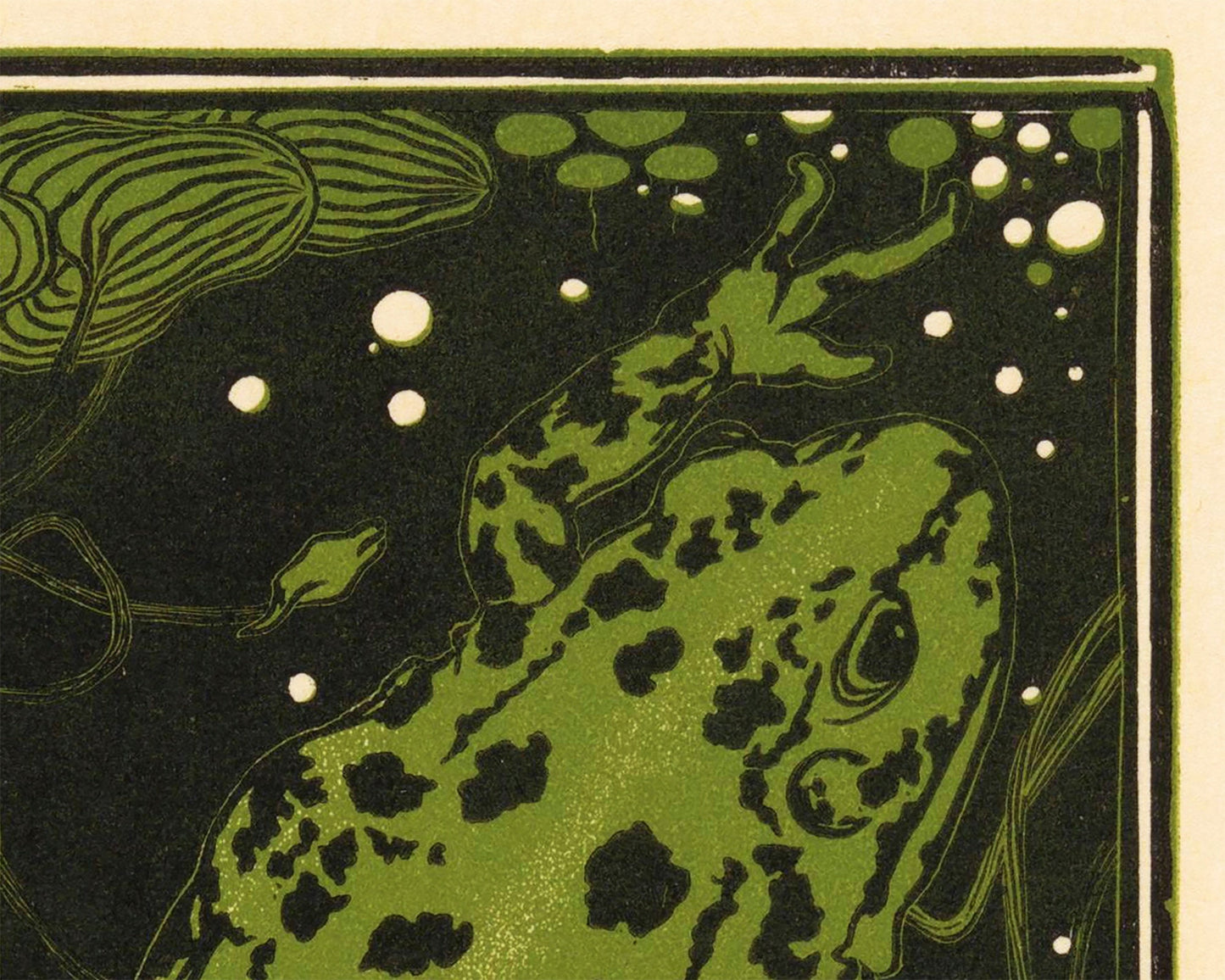 Swimming Frog | 19th Century