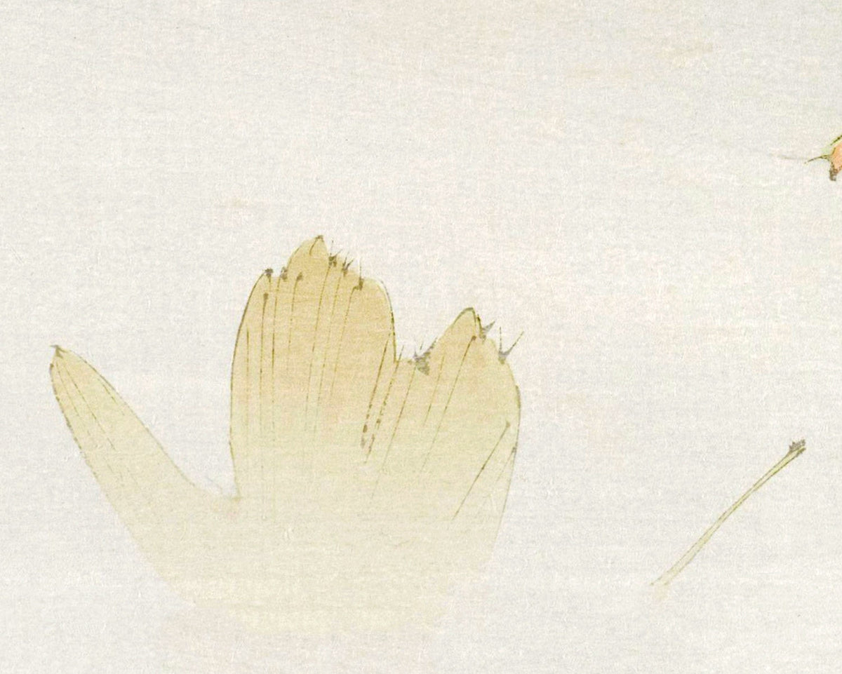 Flowers and Birds | 1916