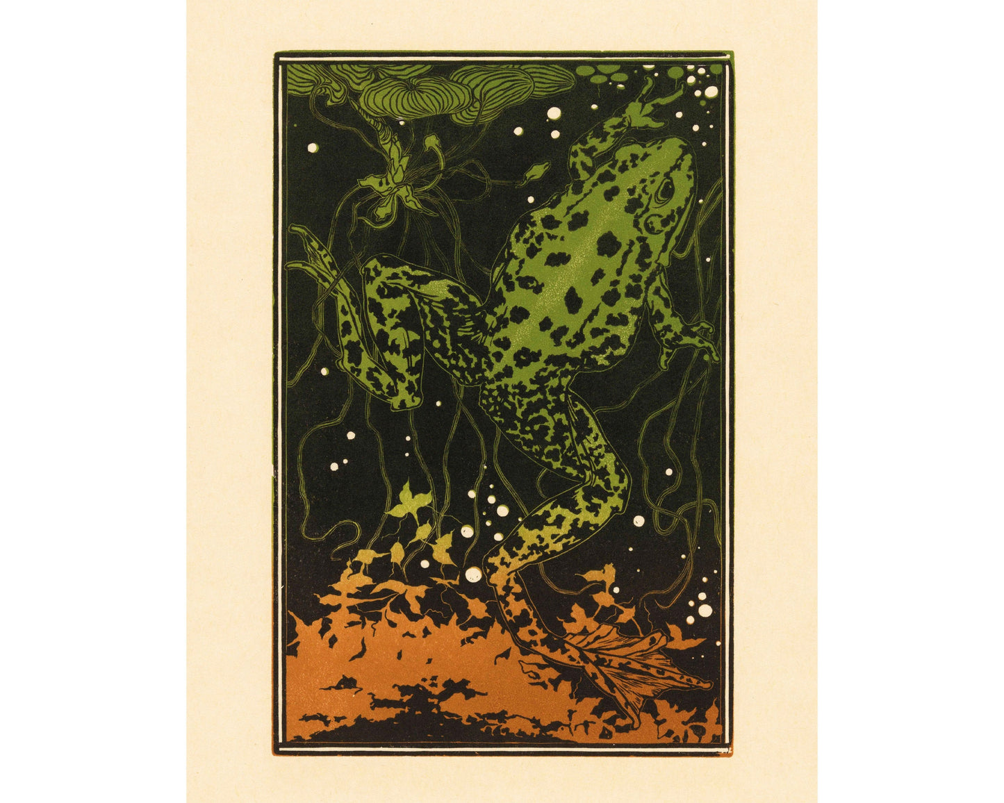 Swimming Frog | 19th Century