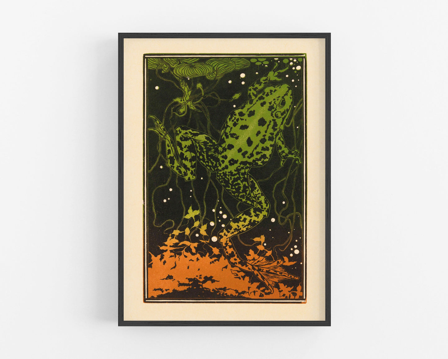 Swimming Frog | 19th Century