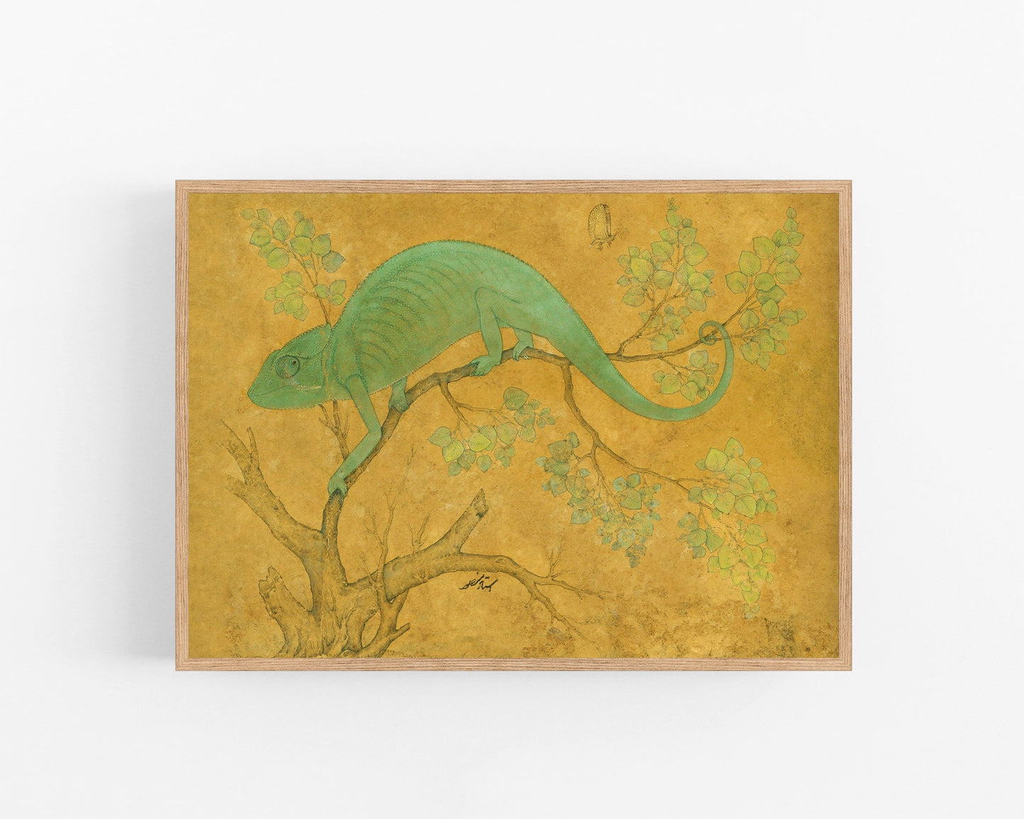 Chameleon | 17th Century