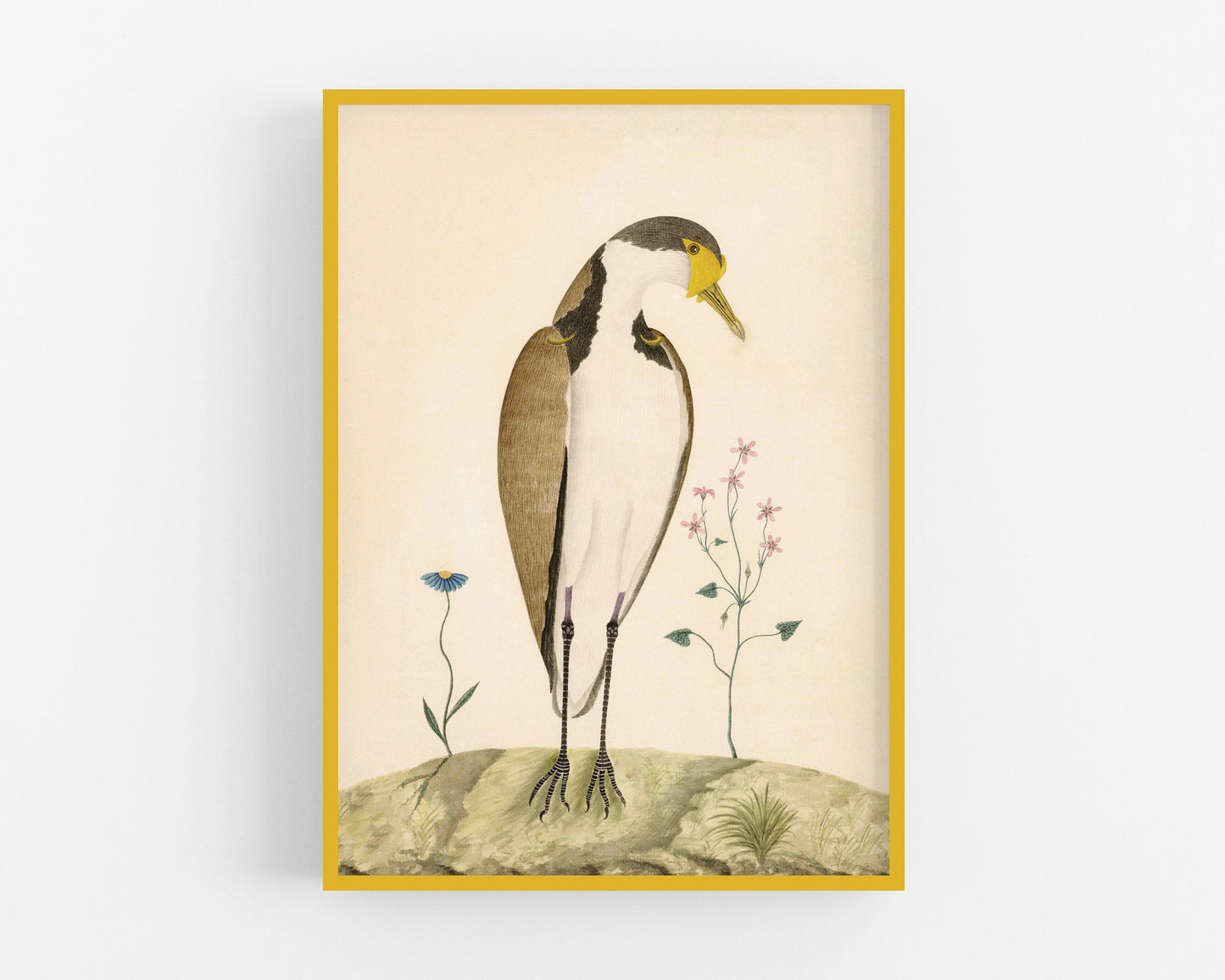 Sparrow Hawk | 1787