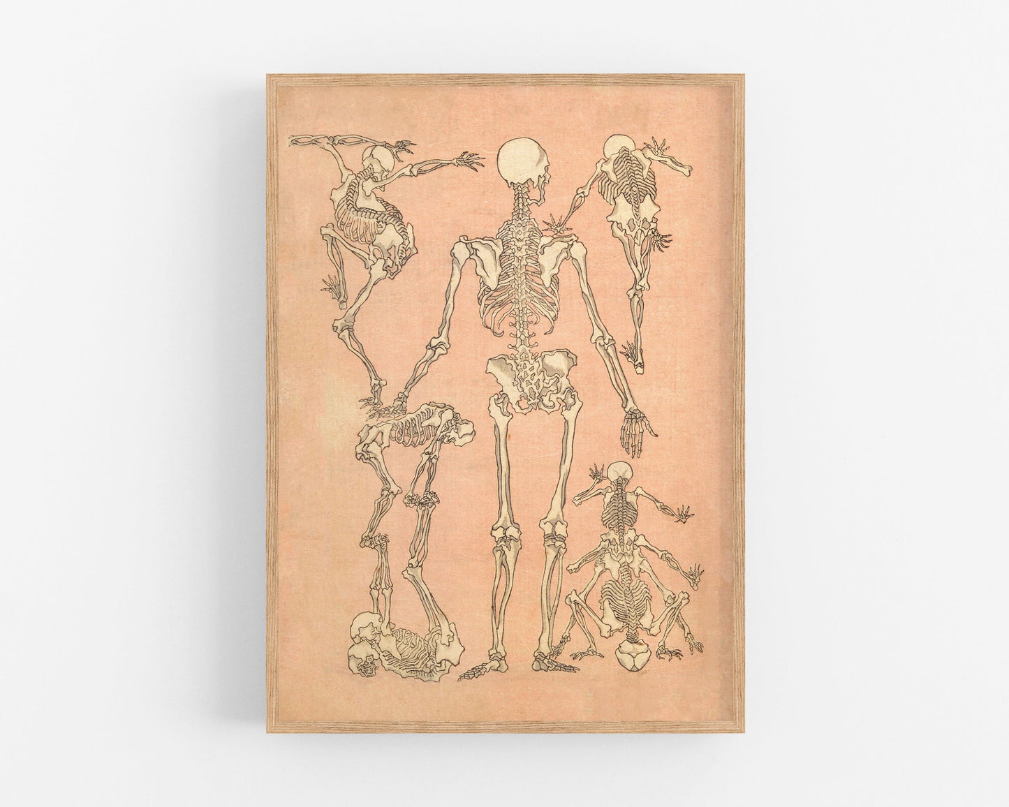 Back of Skeletons from a sketchbook | 19th Century