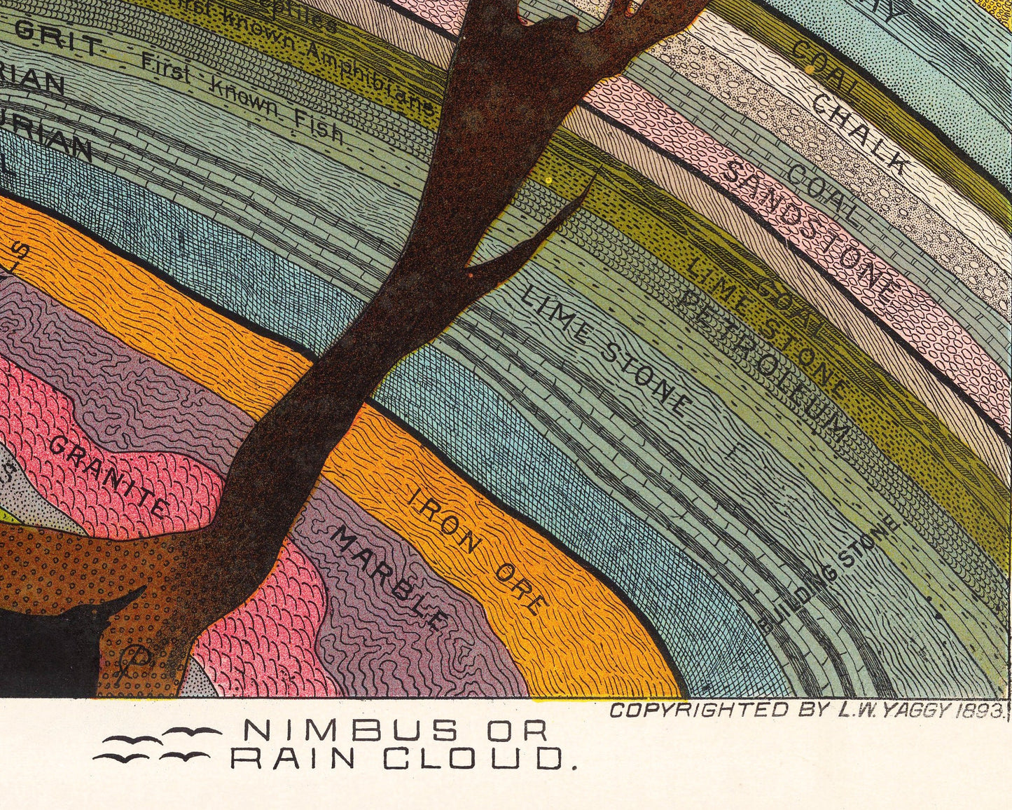 Geological Chart | 1893