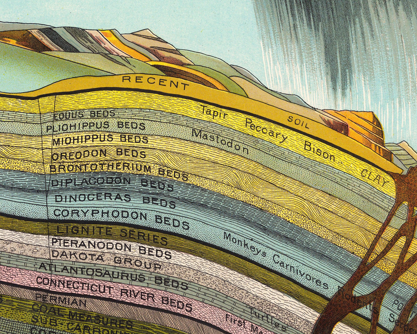 Geological Chart | 1893