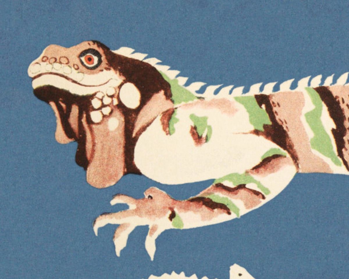 Lizard and Chameleon | 1938