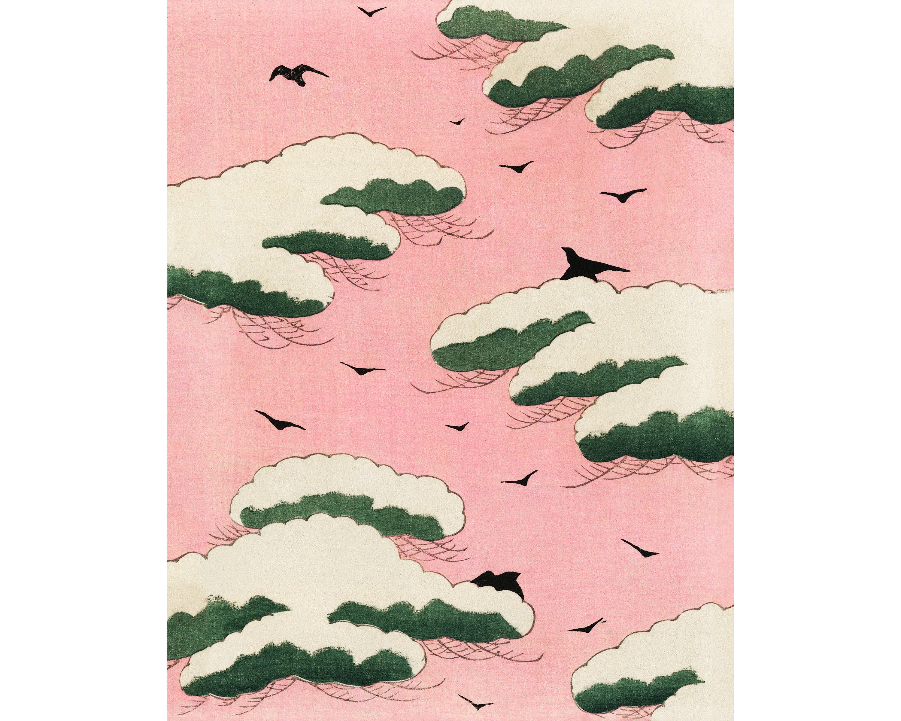 THE SHISHIKUI Color baker / Pinky シシクイ CORDUROY BAKER / PINK – SHISHIKUI