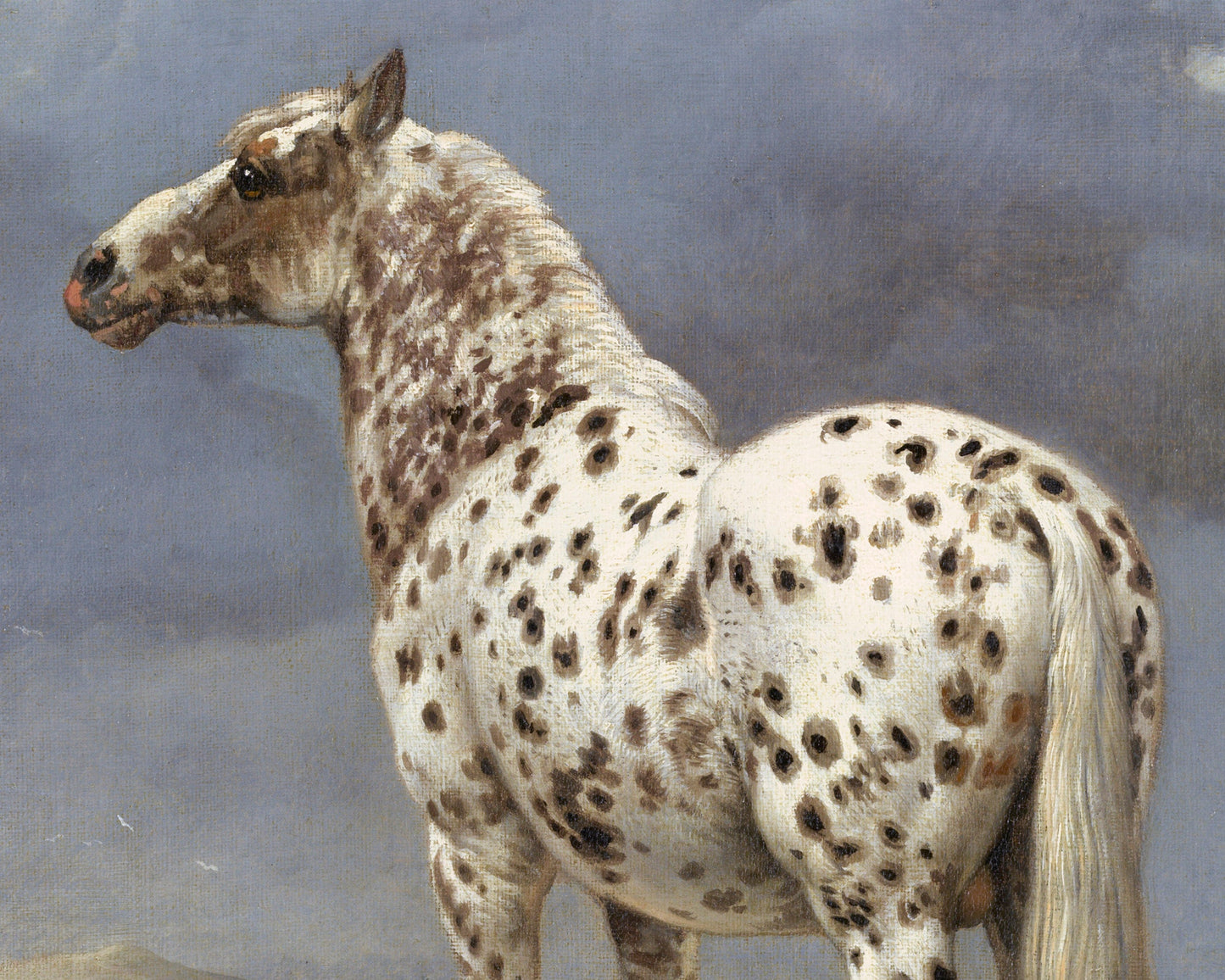 The Piebald Horse | 1650