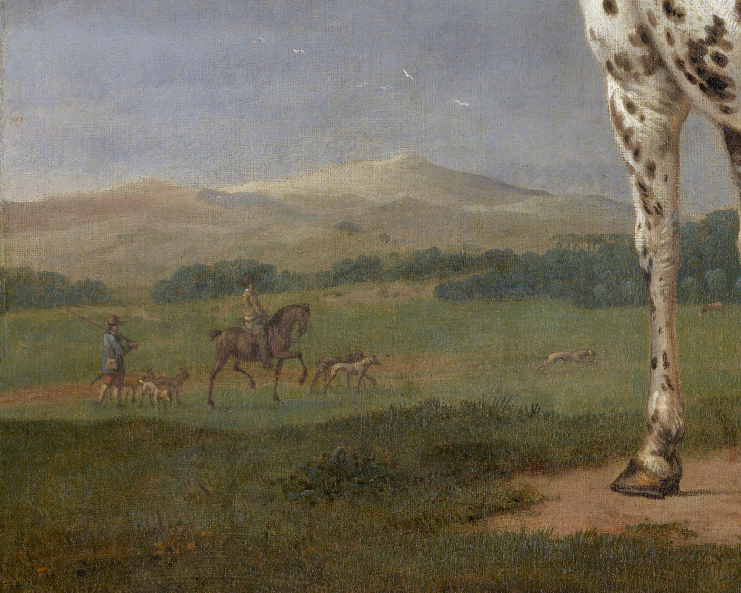 The Piebald Horse | 1650