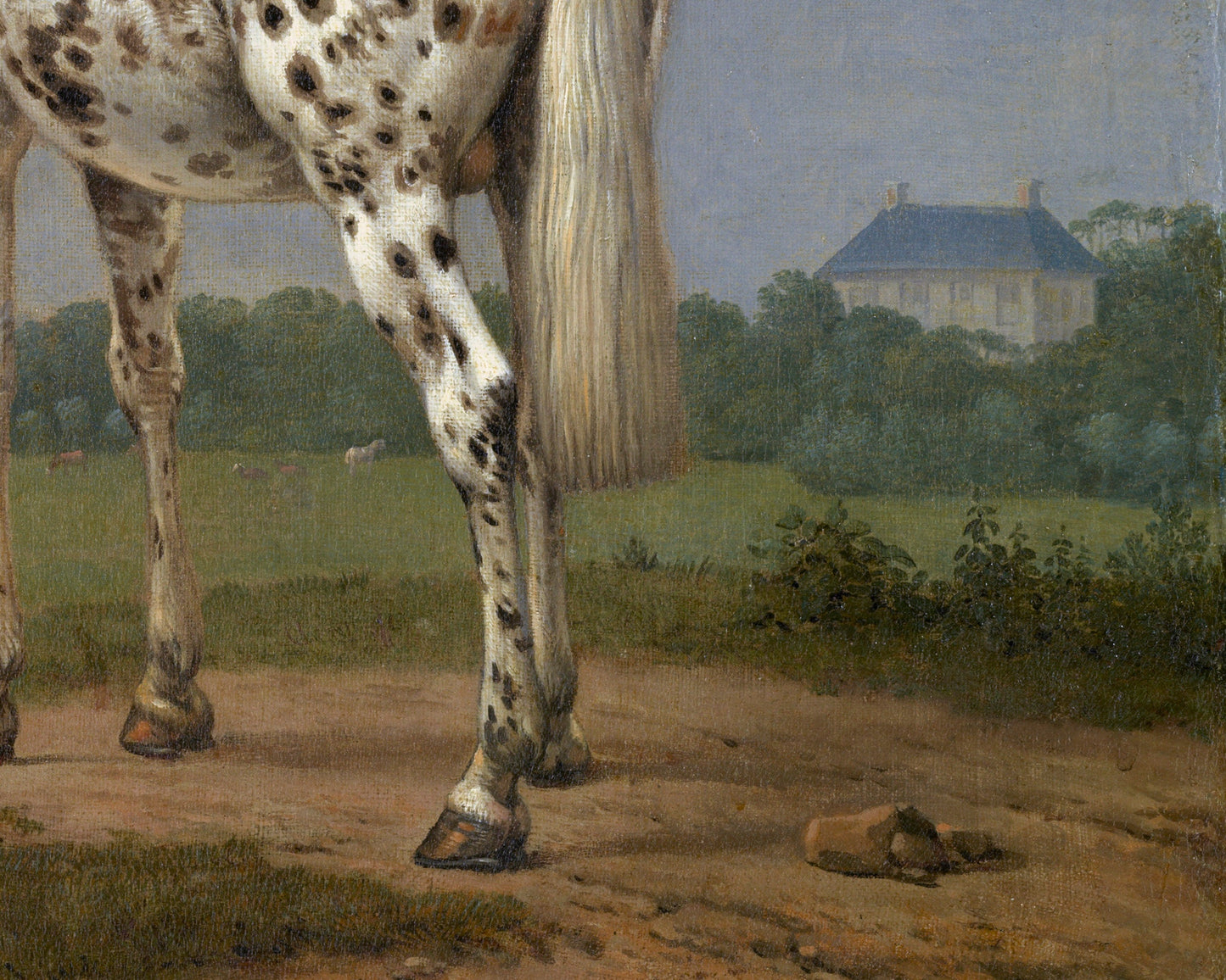 The Piebald Horse | 1650