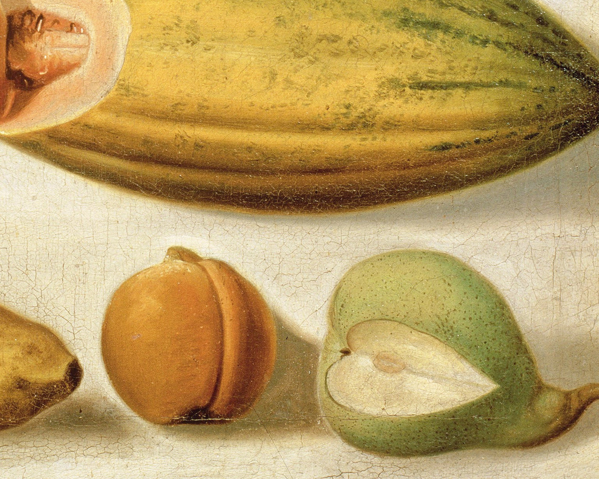 Still Life with Fruit | 1874