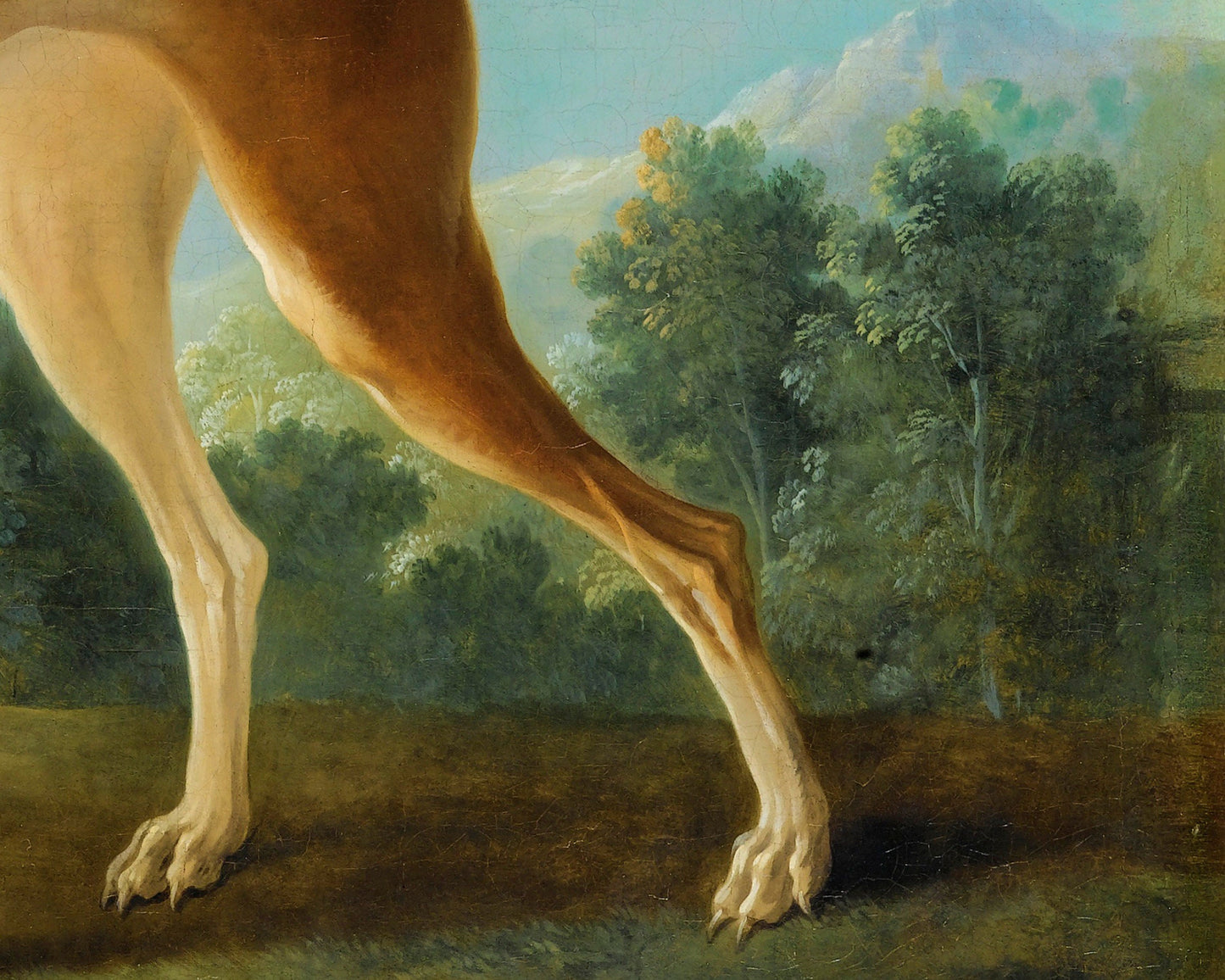 Greyhound in a Landscape | 1746