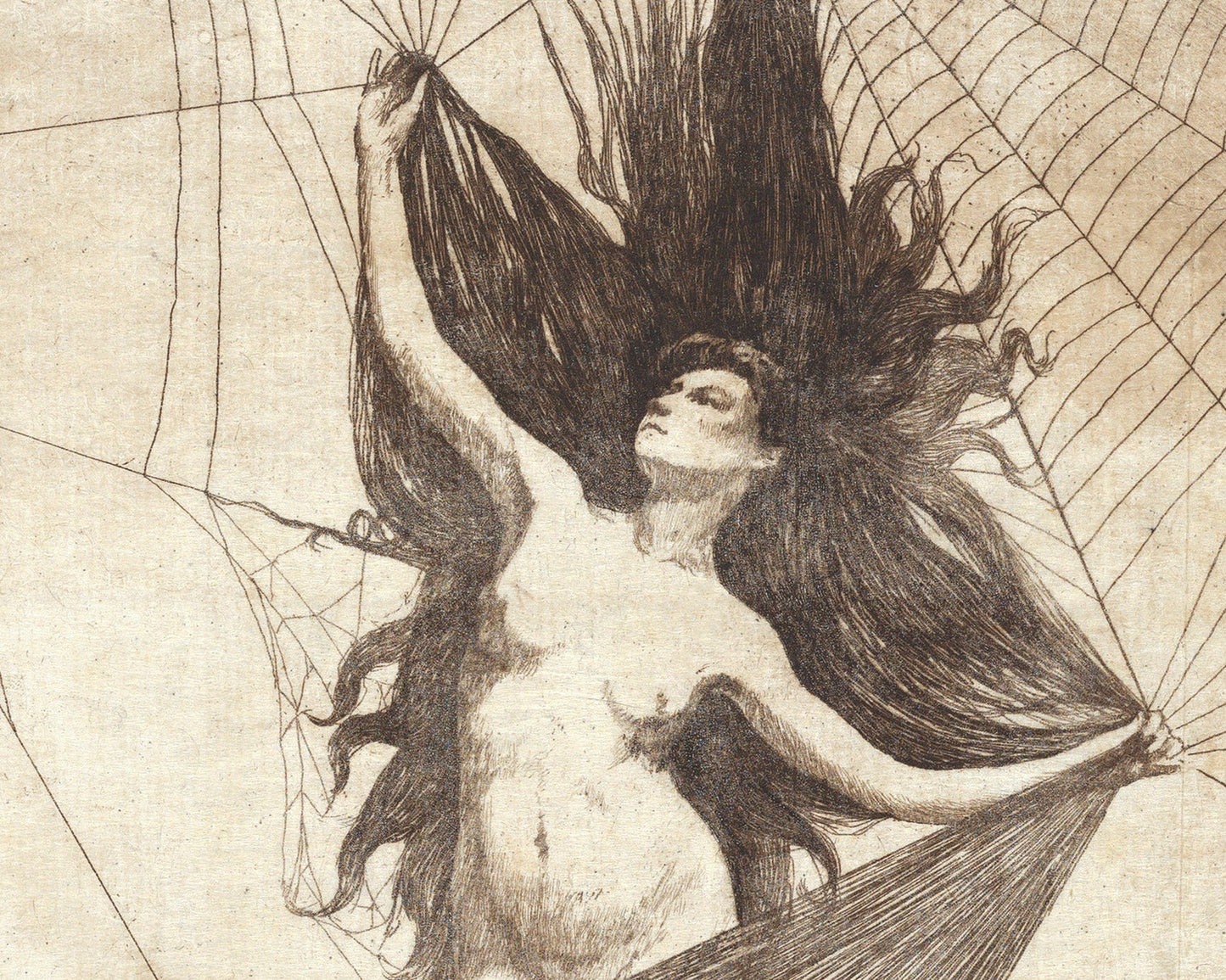 Arachne | 1884