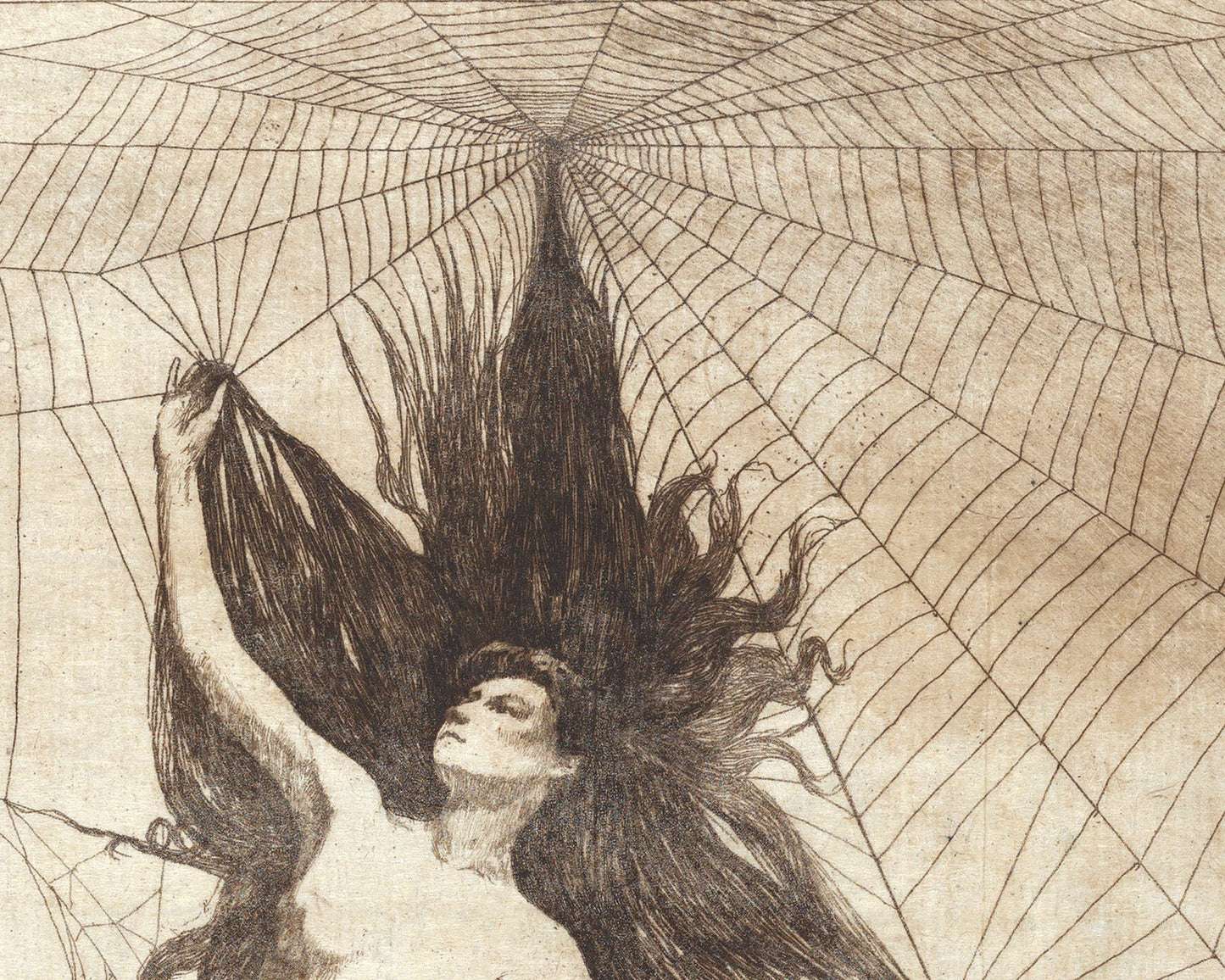 Arachne | 1884