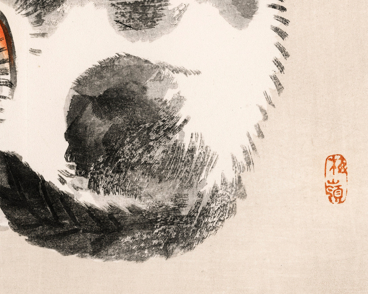 Sleeping Cat | 19th Century