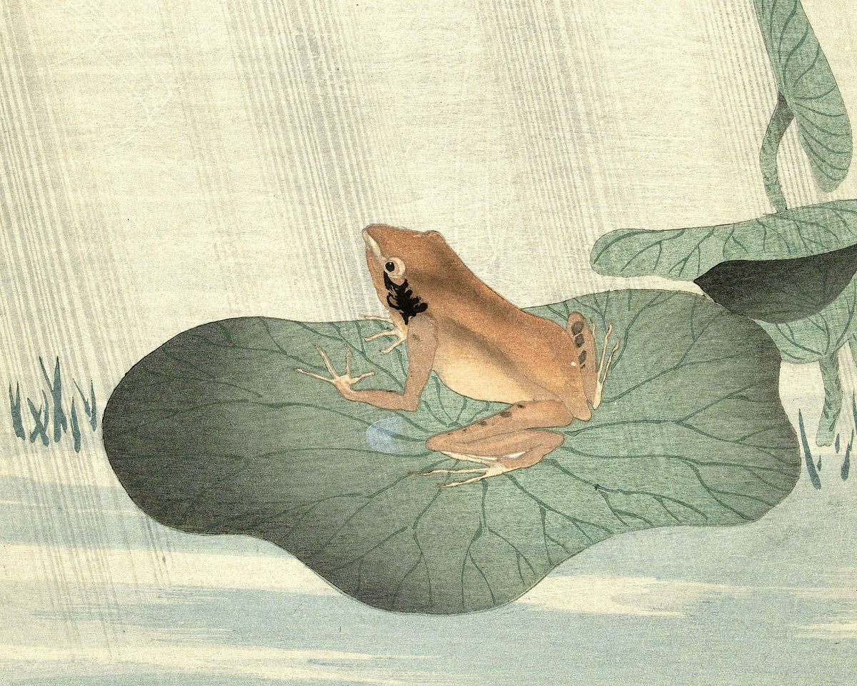 Frog on a Lotus Leaf | 1900