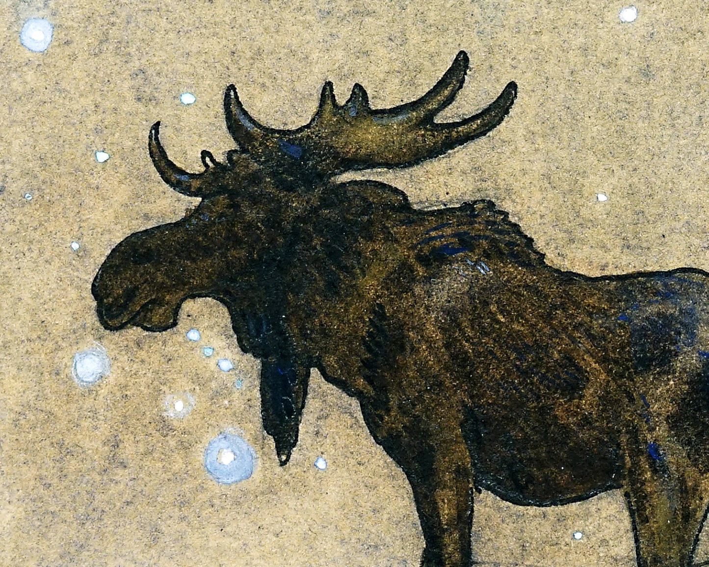 Moose under Starry Sky | 1913
