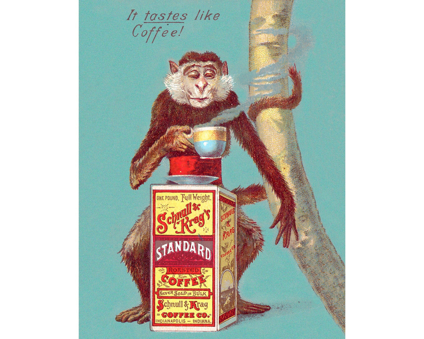Monkey Coffee Ad | 19th century
