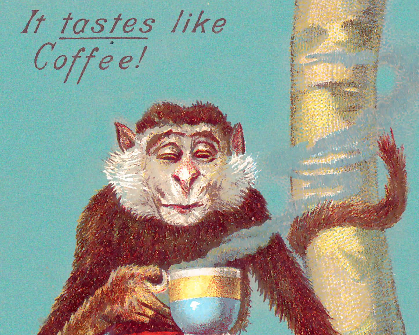 Monkey Coffee Ad | 19th century