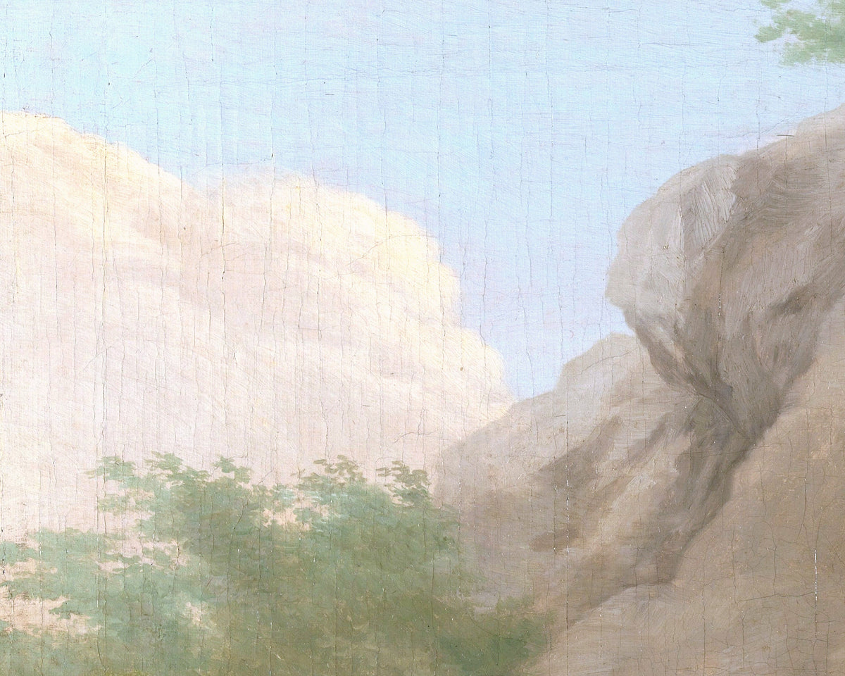 Zebra | 1803