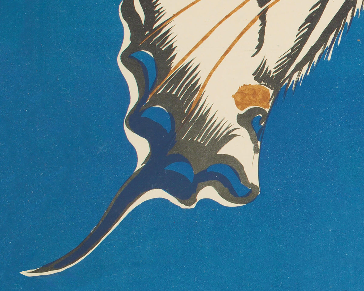 Butterfly on Blue | Debicki | 1903