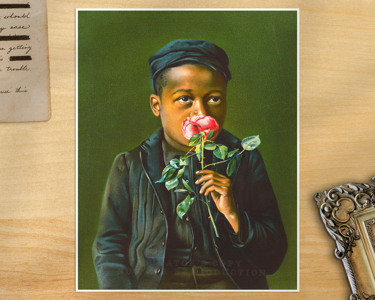 American Beauty | 19th Century