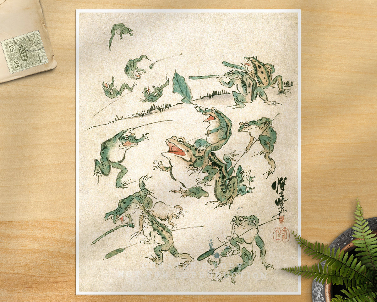 Battle of the Frogs | 19th Century
