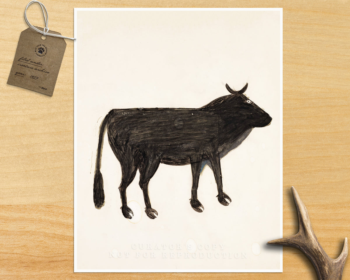 Black Cow | 20th Century