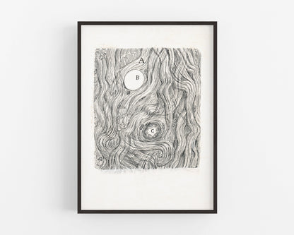 Neuron cell | 1899 | Santiago Ramón y Cajal | Antique anatomical illustration | Neuroscience and Biology wall art | Spanish artist