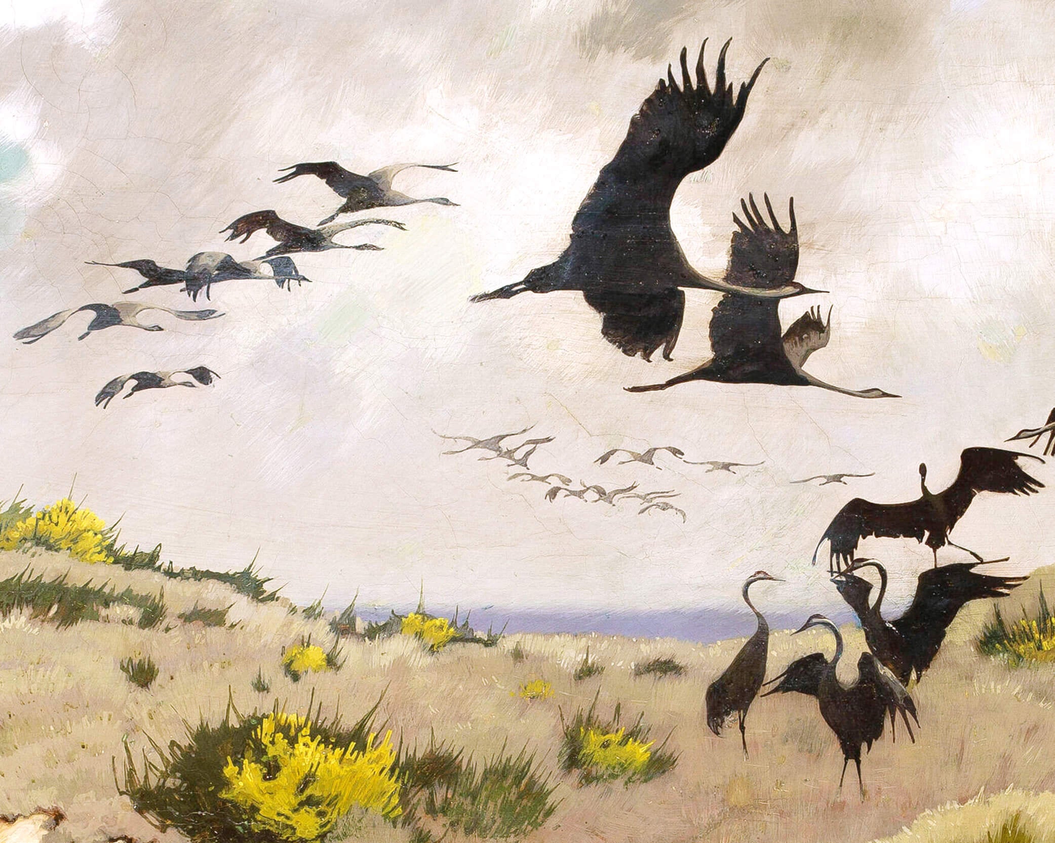 Arrival of Cranes | 1911 | Vintage coastal fine art | Natural