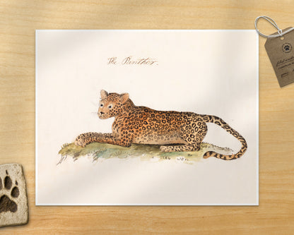 The Panther | 1810