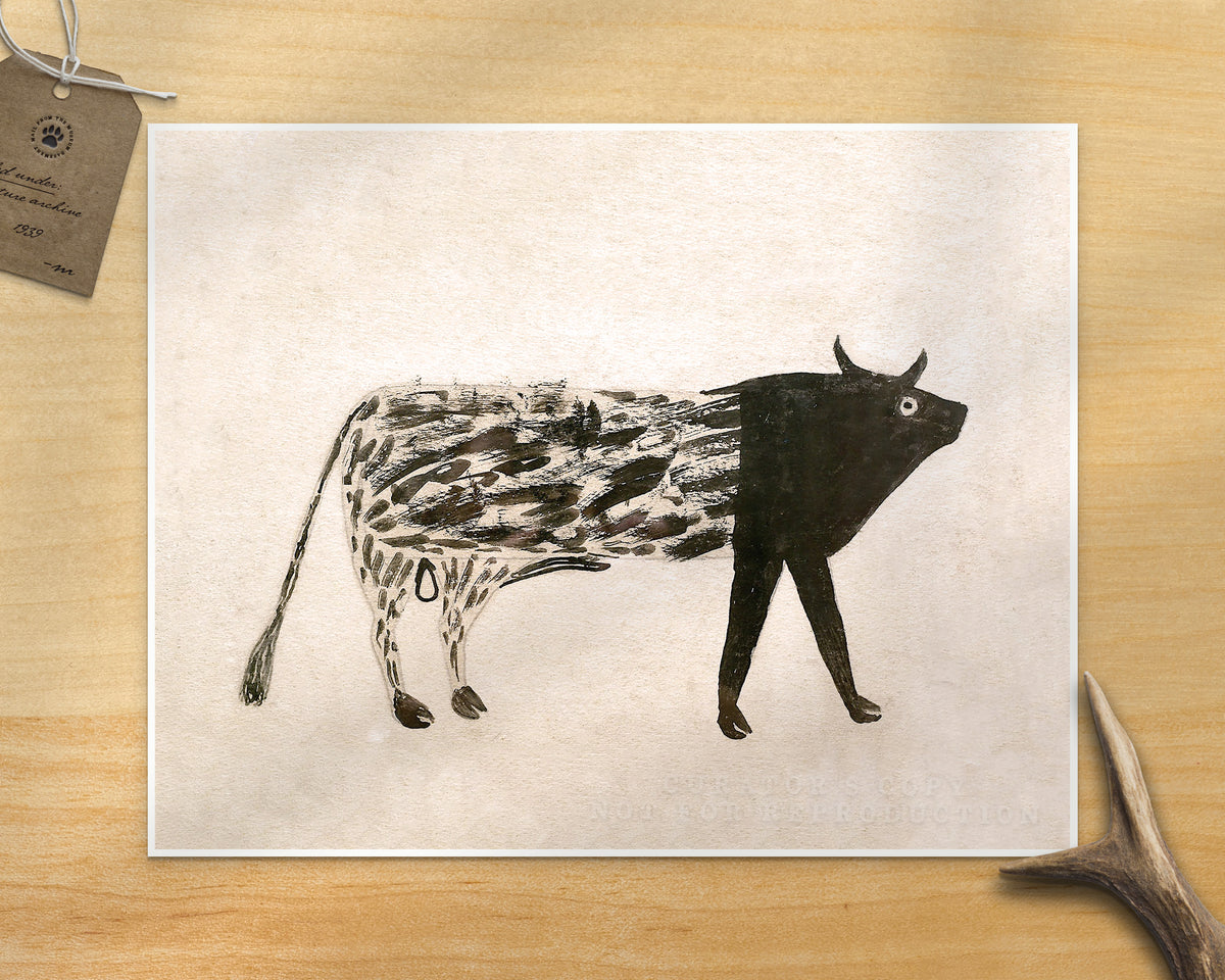 Spotted Bull | 20th Century
