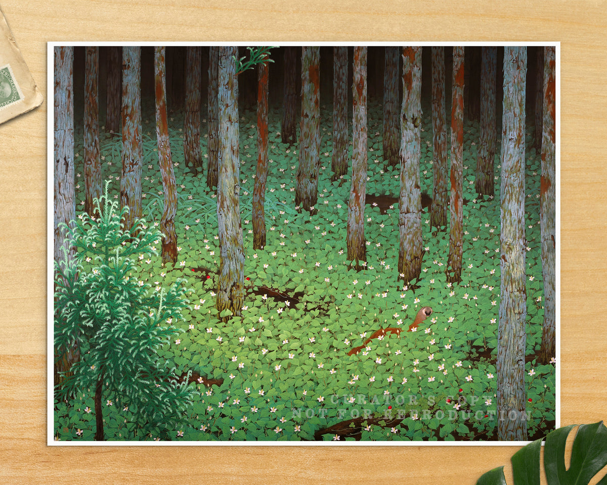 Strawberry Forest | 1928