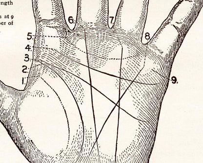 Character Line of the Hand | 1908