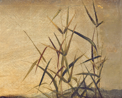 Long Tailed Red Fox | 19th Century