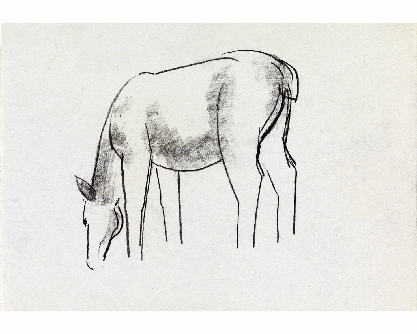 Horse study sketch | 1891 - 1941