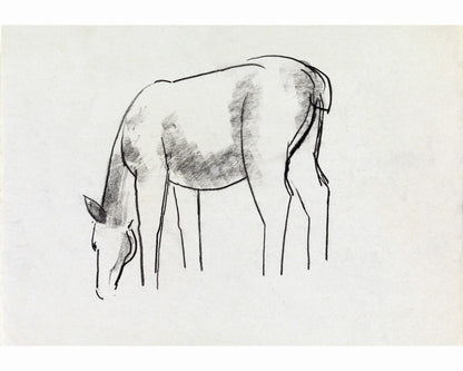 Horse study sketch | 1891 - 1941
