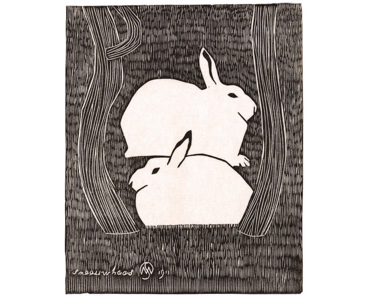 Two Snow hare | 1911