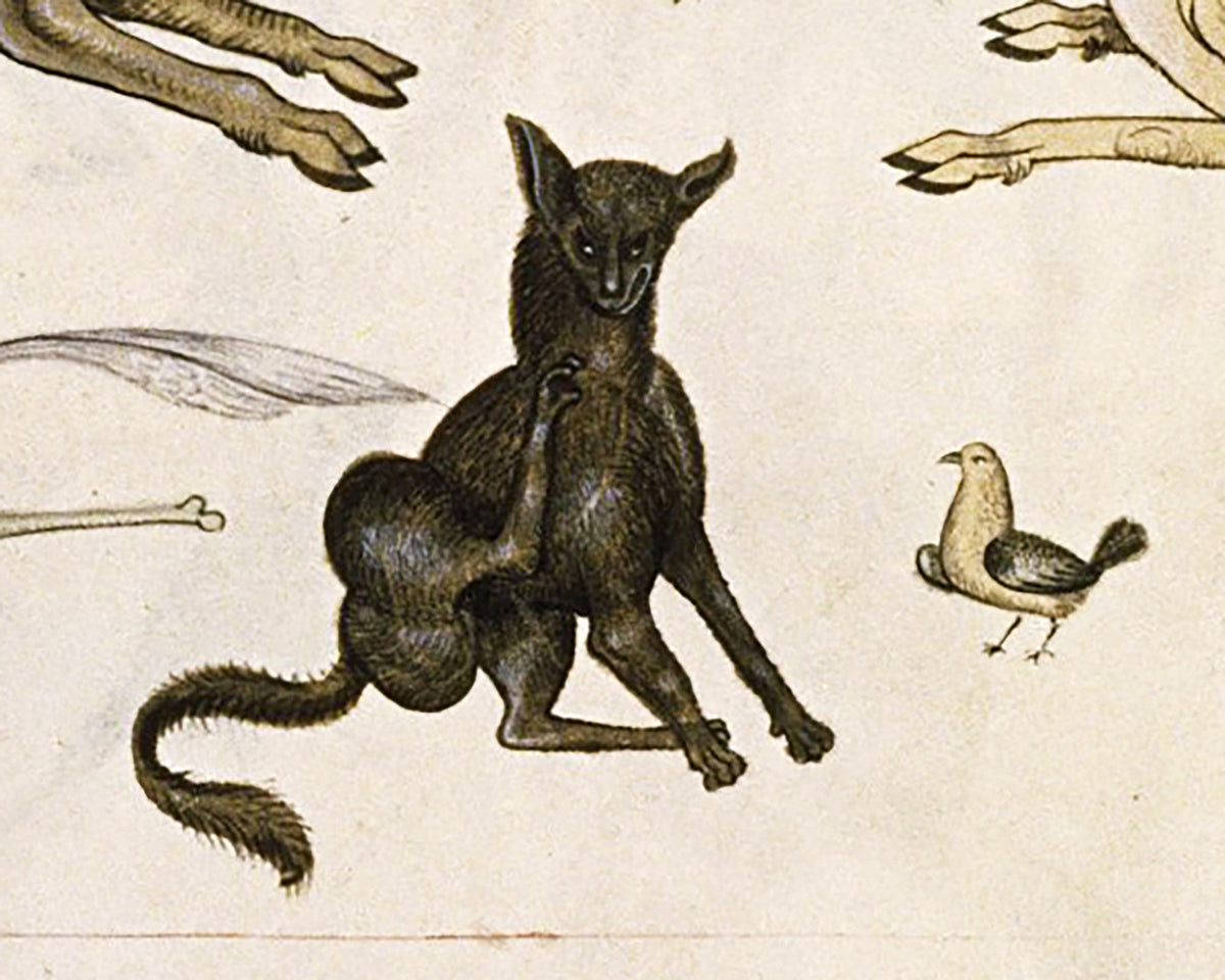Drawings from the Tudor Pattern Book | 1504