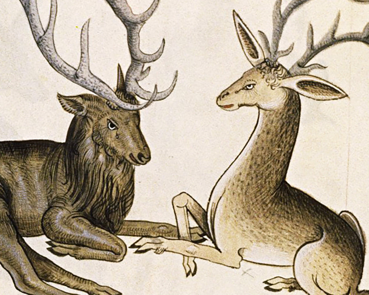 Drawings from the Tudor Pattern Book | 1504