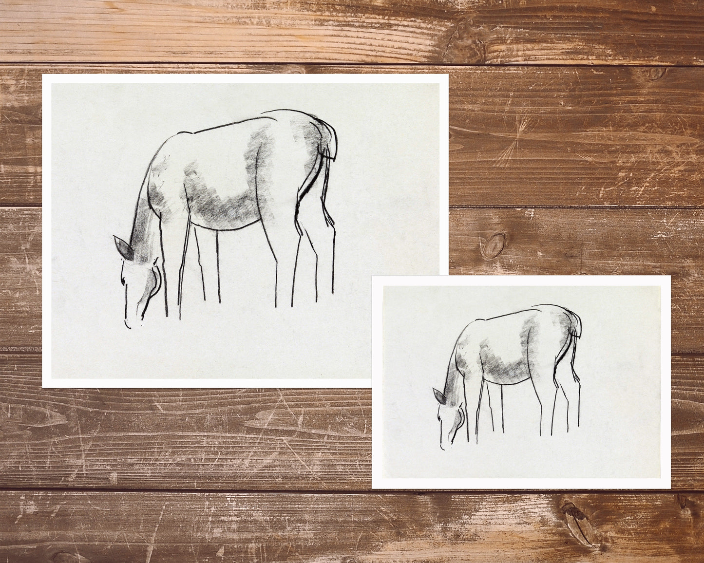 Horse study sketch | 1891 - 1941