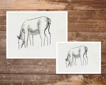 Horse study sketch | 1891 - 1941