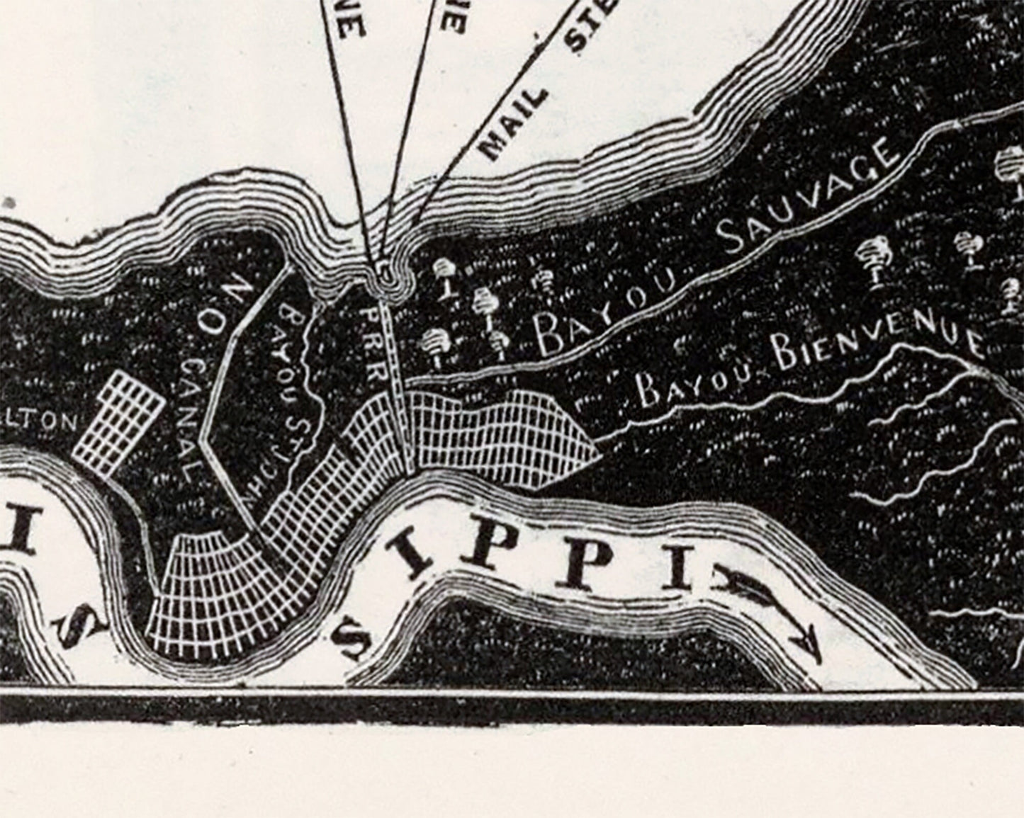 Environs of New Orleans | 1845