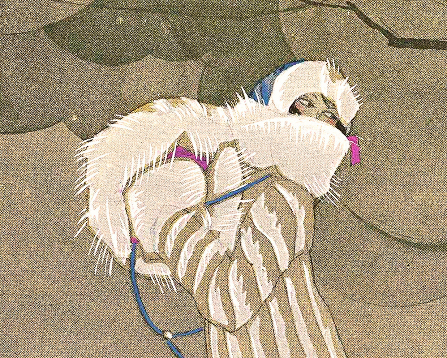 The Beauty of Chamonix | 20th Century