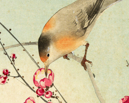 Songbird on Blossom Branch | 20th Century