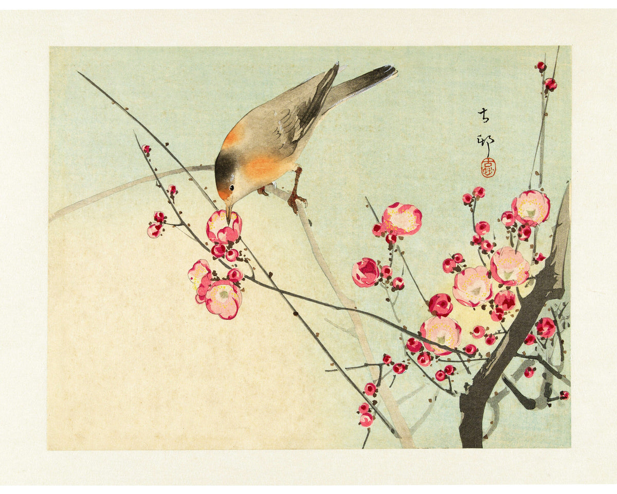 Songbird on Blossom Branch | 20th Century
