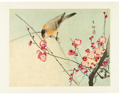 Songbird on Blossom Branch | 20th Century