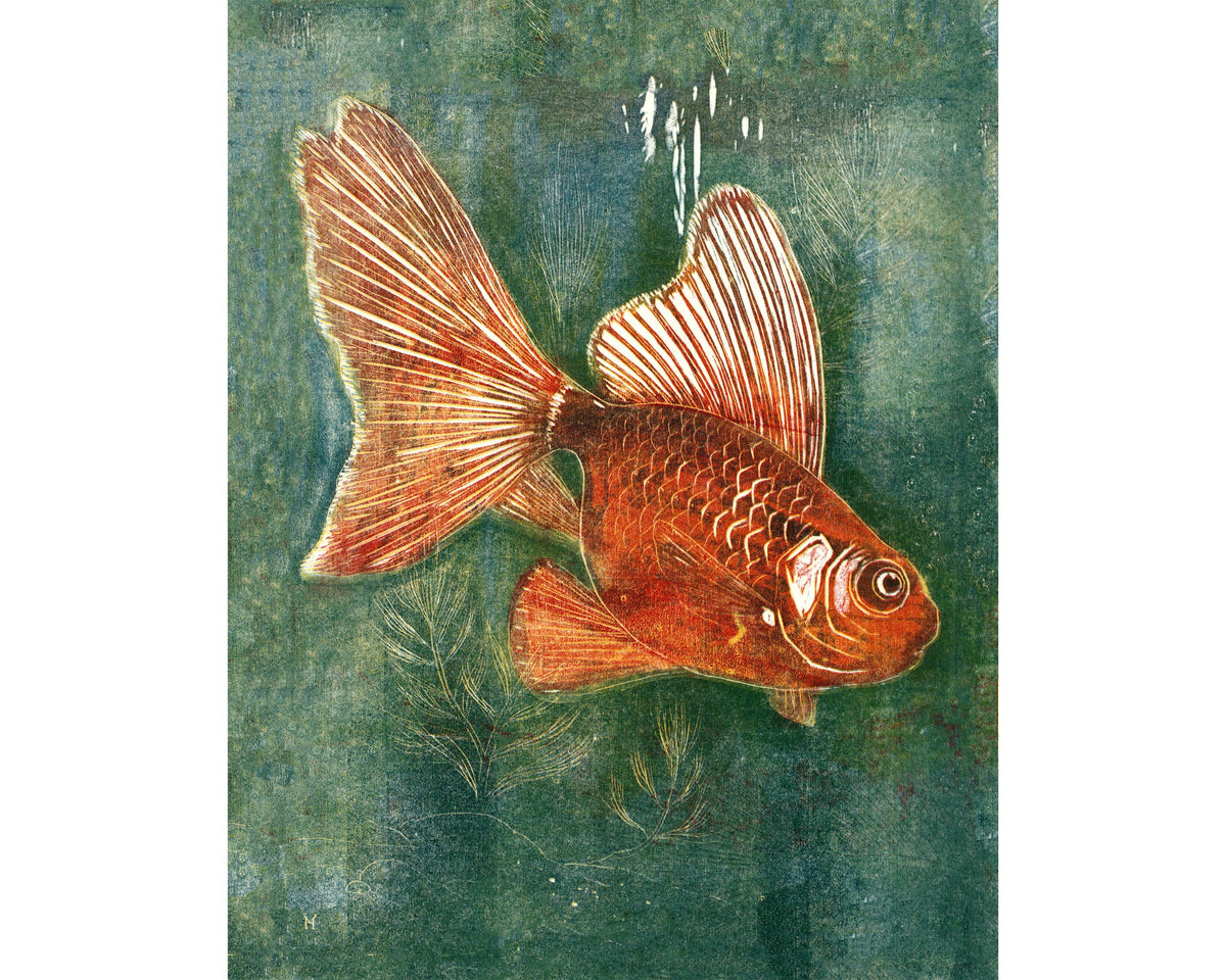 Veil Tail Fish | 19th Century